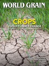 World Grain - August 2025